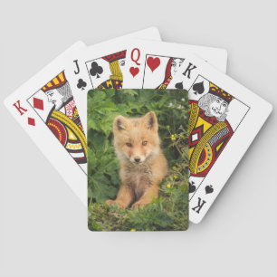 Kutest Baby Animals   Red Fox in Umnak Alaska Pokerkaarten
