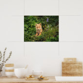 Kutest Baby Animals | Red Fox in Umnak Alaska Poster (Keuken)