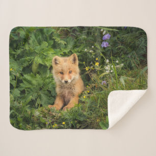 Kutest Baby Animals Red Fox in Umnak Alaska Sherpa Deken