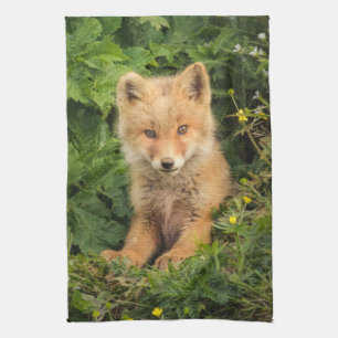 Kutest Baby Animals   Red Fox in Umnak Alaska Theedoek