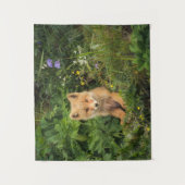 Kutest Baby Animals | Red Fox in Umnak Alaska Wandkleed (Voorkant)