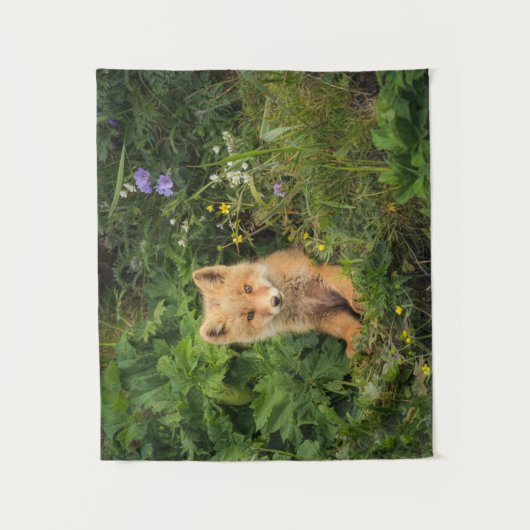 Kutest Baby Animals | Red Fox in Umnak Alaska Wandkleed (Voorkant)