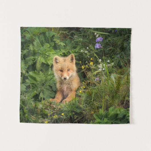 Kutest Baby Animals | Red Fox in Umnak Alaska Wandkleed (Voorkant (horizontaal))