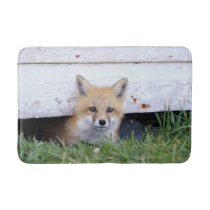 Kutest Baby Animals   Red Fox Kit Peking Badmat