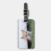 Kutest Baby Animals | Red Fox Kit Peking Bagagelabel (Voorkant verticaal)