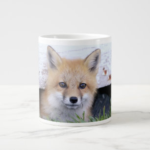 Kutest Baby Animals   Red Fox Kit Peking Grote Koffiekop