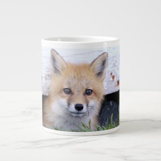 Kutest Baby Animals | Red Fox Kit Peking Grote Koffiekop (Voorkant)
