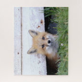 Kutest Baby Animals | Red Fox Kit Peking Legpuzzel (Verticaal)