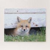 Kutest Baby Animals | Red Fox Kit Peking Legpuzzel (Horizontaal)