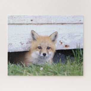 Kutest Baby Animals   Red Fox Kit Peking Legpuzzel