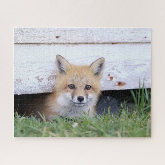 Kutest Baby Animals | Red Fox Kit Peking Legpuzzel (Horizontaal)