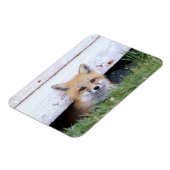 Kutest Baby Animals | Red Fox Kit Peking Magneet (Linkerzijde)