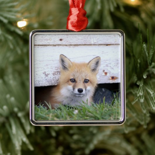 Kutest Baby Animals | Red Fox Kit Peking Metalen Ornament (Boom)