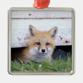 Kutest Baby Animals | Red Fox Kit Peking Metalen Ornament (Voorkant)