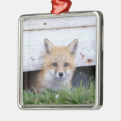 Kutest Baby Animals | Red Fox Kit Peking Metalen Ornament (Links)