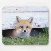 Kutest Baby Animals | Red Fox Kit Peking Muismat (Voorkant)