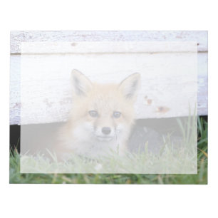 Kutest Baby Animals   Red Fox Kit Peking Notitieblok
