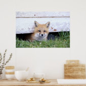 Kutest Baby Animals | Red Fox Kit Peking Poster (Keuken)
