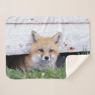 Kutest Baby Animals Red Fox Kit Peking Sherpa Deken
