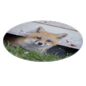 Kutest Baby Animals | Red Fox Kit Peking Snijplank (Hoek)