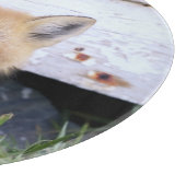 Kutest Baby Animals | Red Fox Kit Peking Snijplank (Hoek)