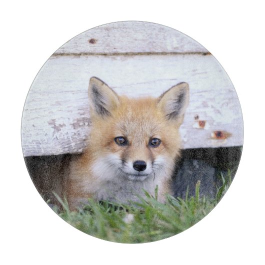 Kutest Baby Animals | Red Fox Kit Peking Snijplank (Voorkant)