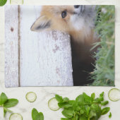 Kutest Baby Animals | Red Fox Kit Peking Theedoek (Gevouwen)