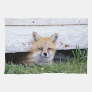 Kutest Baby Animals Red Fox Kit Peking Theedoek