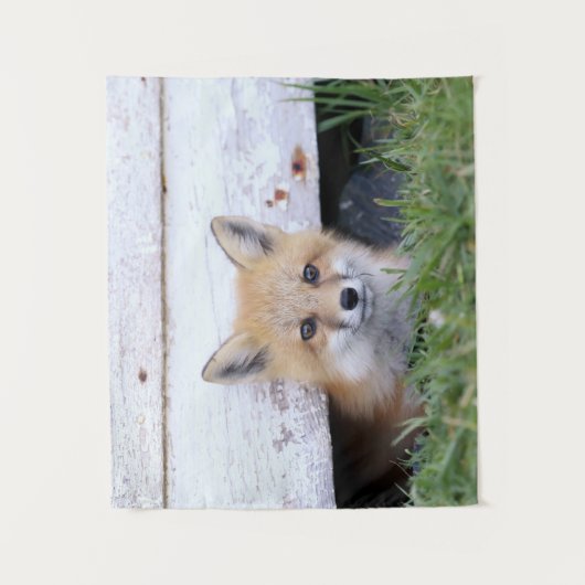 Kutest Baby Animals | Red Fox Kit Peking Wandkleed (Voorkant)