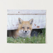 Kutest Baby Animals | Red Fox Kit Peking Wandkleed (Voorkant (horizontaal))