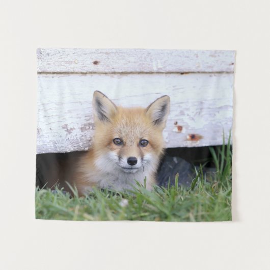 Kutest Baby Animals | Red Fox Kit Peking Wandkleed (Voorkant (horizontaal))
