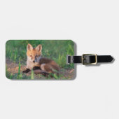Kutest Baby Animals | Red Fox Kit Relaxing Bagagelabel (Voorkant horizontaal)