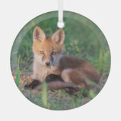 Kutest Baby Animals | Red Fox Kit Relaxing Glas Ornament (Voorkant)