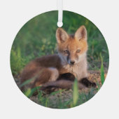 Kutest Baby Animals | Red Fox Kit Relaxing Glas Ornament (Achterkant)