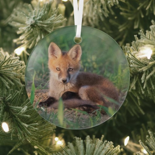 Kutest Baby Animals | Red Fox Kit Relaxing Glas Ornament (Insitu)