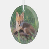 Kutest Baby Animals | Red Fox Kit Relaxing Glas Ornament (Voorkant links)