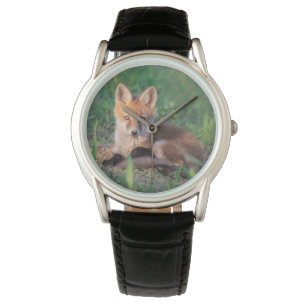 Kutest Baby Animals   Red Fox Kit Relaxing Horloge