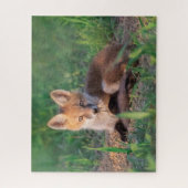 Kutest Baby Animals | Red Fox Kit Relaxing Legpuzzel (Verticaal)