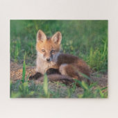 Kutest Baby Animals | Red Fox Kit Relaxing Legpuzzel (Horizontaal)