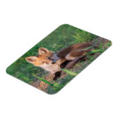 Kutest Baby Animals | Red Fox Kit Relaxing Magneet (Linkerzijde)