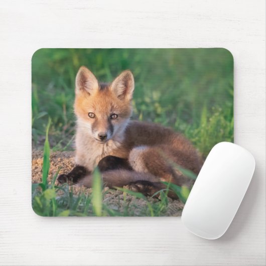 Kutest Baby Animals | Red Fox Kit Relaxing Muismat (Met muis)