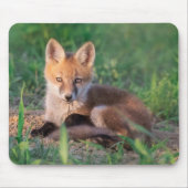 Kutest Baby Animals | Red Fox Kit Relaxing Muismat (Voorkant)