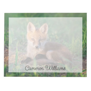 Kutest Baby Animals Red Fox Kit Relaxing Notitieblok