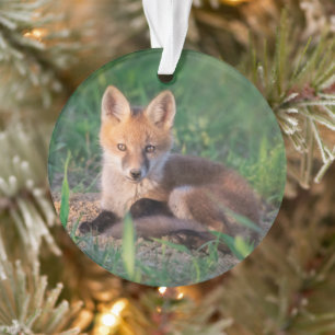 Kutest Baby Animals Red Fox Kit Relaxing Ornament