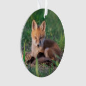 Kutest Baby Animals | Red Fox Kit Relaxing Ornament (voorkant)