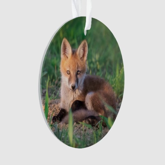 Kutest Baby Animals | Red Fox Kit Relaxing Ornament (voorkant)