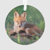 Kutest Baby Animals | Red Fox Kit Relaxing Ornament (achterkant)