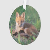 Kutest Baby Animals | Red Fox Kit Relaxing Ornament (voorkant)