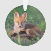 Kutest Baby Animals | Red Fox Kit Relaxing Ornament (voorkant)