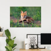 Kutest Baby Animals | Red Fox Kit Relaxing Poster (Thuiskantoor)